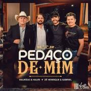 Pedaço de Mim}