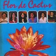 Flor de Cactus}