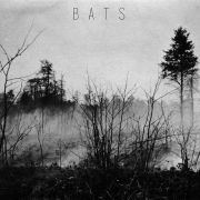 Bats}