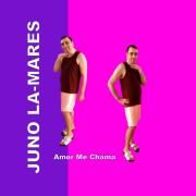 Amor Me Chama