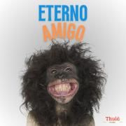 Portada de Sencillo/EP "Eterno Amigo", de Thuiá Music
