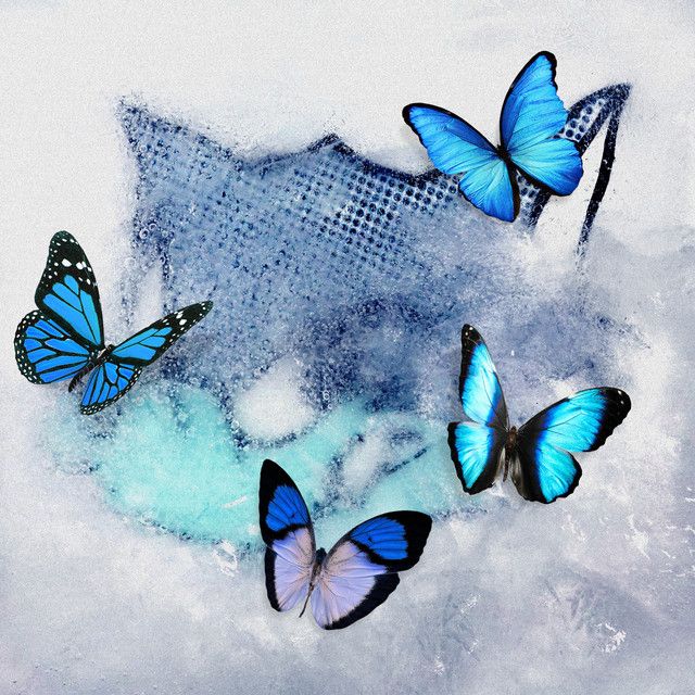 Portada del álbum "Frozen Butterfly", de Wolf Howl Harmony