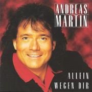 Allein Wegen Dir