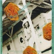 Didn't We Almost Win It All}