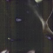 Portada de Álbum "Todo No Es Suficiente", de Billy Se Fue