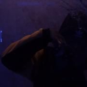 Portada de Sencillo/EP "NORTHFACE", de $NOT