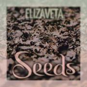 Seeds}