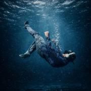 Portada de Álbum "RESET", de Juanse Laverde