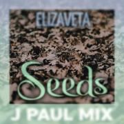 Seeds (J Paul Mix) (feat. Cassorla)}