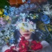 Portada de Sencillo/EP "Blooming", de moë (J-Pop)
