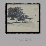 Portada de Álbum "ÁRVORES DE CARVALHO", de Àrvores de Carvalho