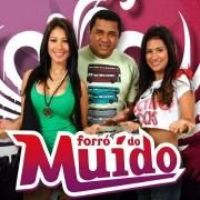 Vol. 4 (Ao Vivo No Forró No Sítio)