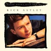 Never Gonna Give You Up (US Version)}