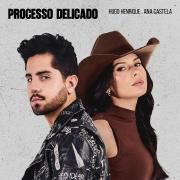 Processo Delicado (part. Ana Castela)}