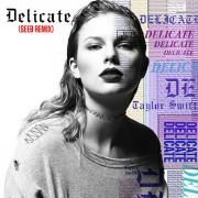 Delicate (Seeb Remix)