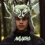 Capa do Single/EP "Malandro", de EKANTI