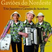 Gaviões do Nordeste - 2012