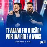 Te Amar Foi Ilusão / Por um Gole a Mais (Ao Vivo) (part. Caio Marttins)}