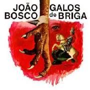 Galos de Briga}