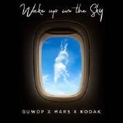 Wake Up In The Sky}
