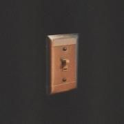 Light Switch}