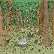 The Rabbit