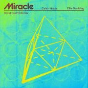 Miracle (with Ellie Goulding) [David Guetta Remix]