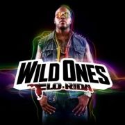 Wild Ones}