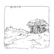 Bodega}