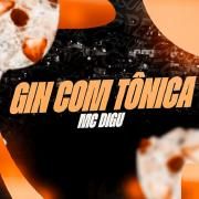 Gin Com Tônica
