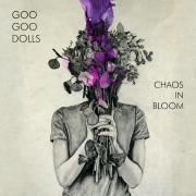 Chaos In Bloom}