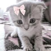 Capa do Single/EP "luvicide", de amotti