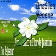 Flor de Jasmim (part. Gha$ten)}