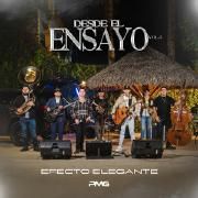 Desde El Ensayo, Vol. 3}