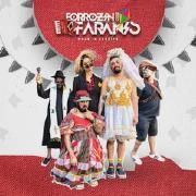 Forrozin dos Faranis - Made In Sergipe}