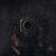 Black Widow (feat. Daringer & Westside Gunn)