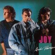 Joy And Tears