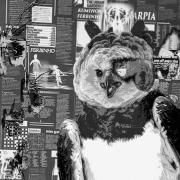 Harpia (part. Ferbinho)}