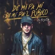 Portada de Álbum "DE MI PA MI DE MI PAL' PUBLICO", de R Jota