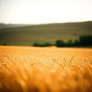 Cuando El Cielo Calla