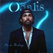 Capa do Álbum "It's A Feeling", de Odalis