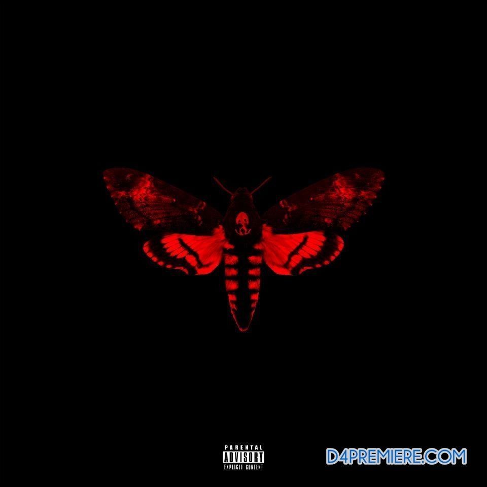 LOLLIPOP (TRADUÇÃO) - Lil Wayne 