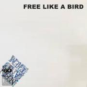 Free Like a Bird
