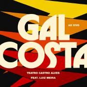 Ao Vivo no Teatro Castro Alves (part. Luiz Meira)}