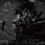 Dandelion; 斷絕