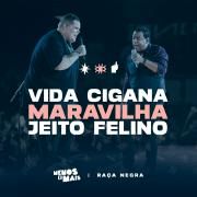 Vida Cigana / Maravilha / Jeito Felino (ao Vivo)}