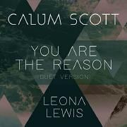 You Are The Reason (Duet Version) (feat. Leona Lewis)}