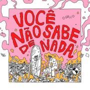 Você Não Sabe de Nada}