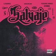 SALVAJE (part. Lyanno)}