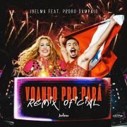 Voando pro Pará (remix) (part. Pedro Sampaio)